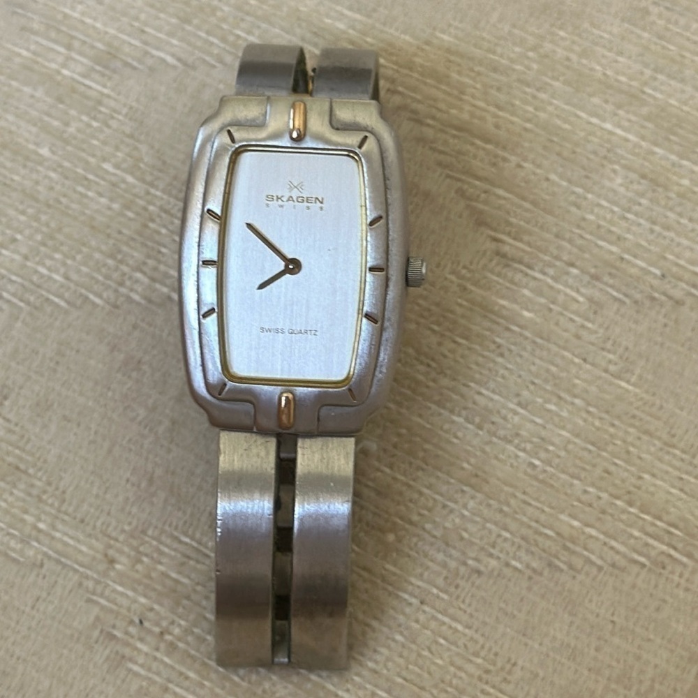SKAGEN swiss watch​